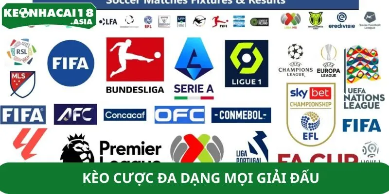 Kèo cược đa dạng mọi giải đấu Kèo cược đa dạng mọi giải đấu